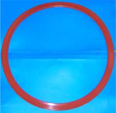 Pelton & Crane OCR Autoclave Door Gasket 10-in